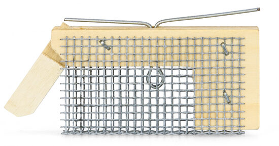 Iltis krātiņš māšu pievienošanai