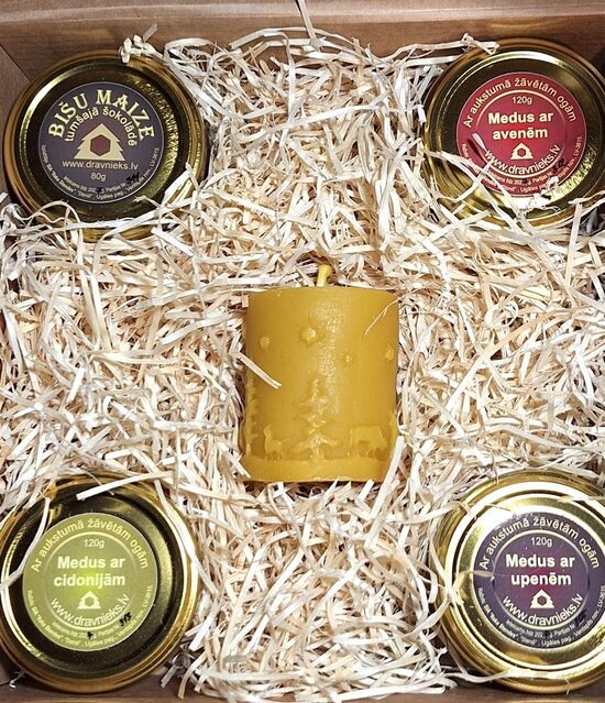 Nr.10 -Eglīte logā 5 in 1